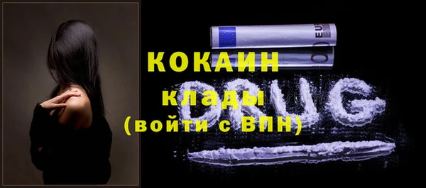 кокс Алексин