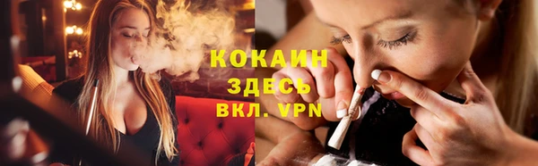 кокс Алексин