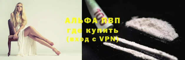 apvp Алзамай