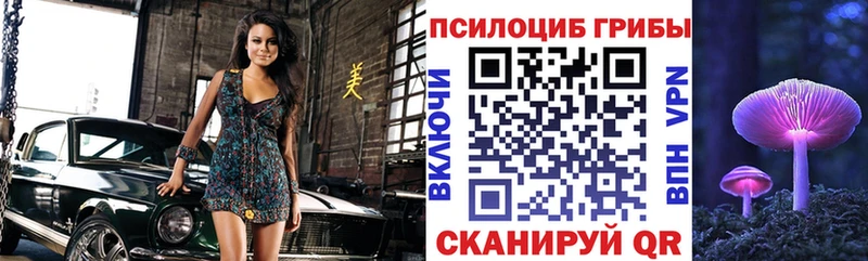 Галлюциногенные грибы прущие грибы  Струнино 