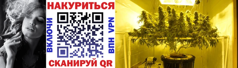 ссылка на мегу как войти  Струнино  Шишки марихуана семена 